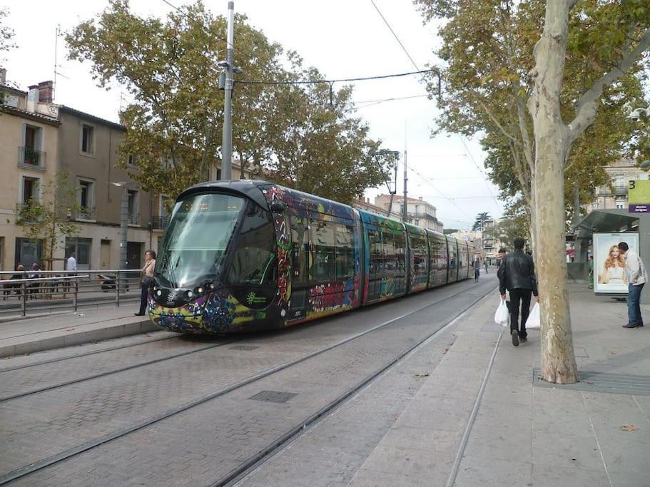 Artistic Loft, Downtown Montpellier, Wifi Leilighet Eksteriør bilde